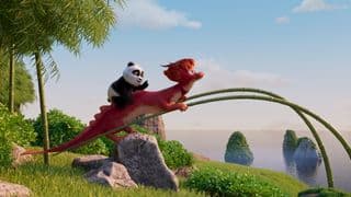 Medvídek panda v Africe